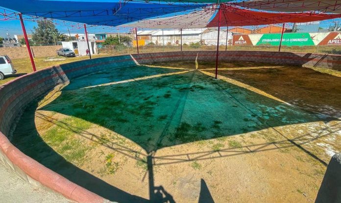 EQUINOTERAPIA EN SOLEDAD