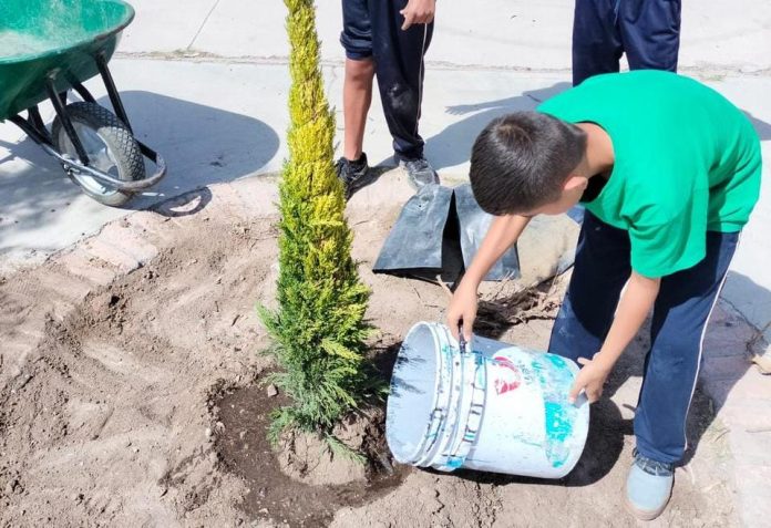JORNADAS DE REFORESTACIÓN