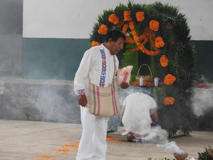 MEDICINA TRADICIONAL