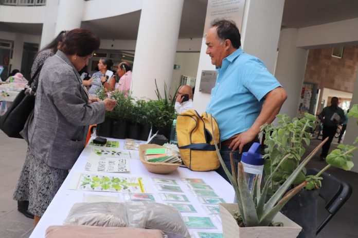 emprendimiento a personas con discapacidad