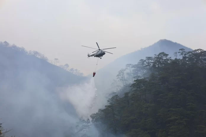 devastadora ola de incendios