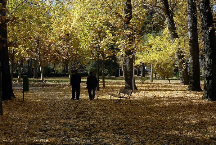 estos-son-los-beneficios-de-dar-7-mil-pasos-diarios,-segun-estudio
