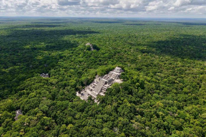 sheinbaum-celebra-la-firma-del-acuerdo-con-belice-y-guatemala-para-proteger-la-selva-maya